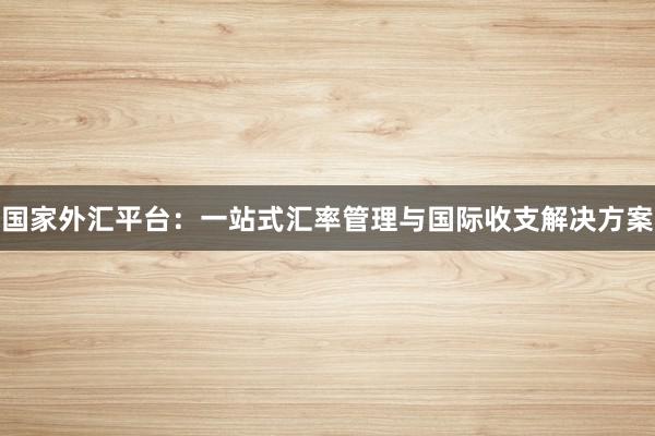 国家外汇平台：一站式汇率管理与国际收支解决方案