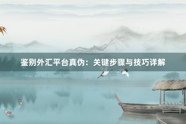 鉴别外汇平台真伪：关键步骤与技巧详解