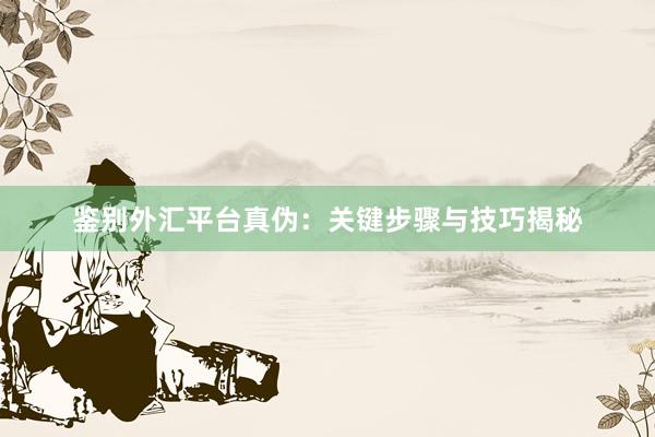 鉴别外汇平台真伪：关键步骤与技巧揭秘