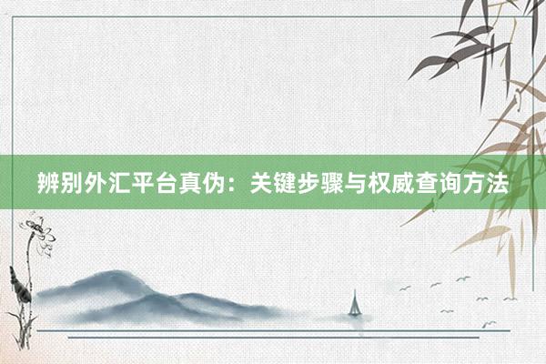 辨别外汇平台真伪：关键步骤与权威查询方法