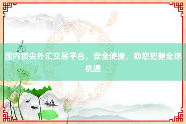 国内顶尖外汇交易平台，安全便捷，助您把握全球机遇