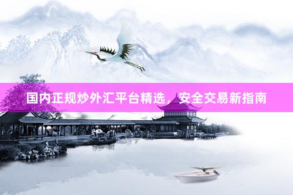 国内正规炒外汇平台精选，安全交易新指南