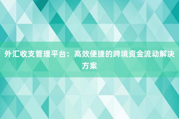 外汇收支管理平台：高效便捷的跨境资金流动解决方案
