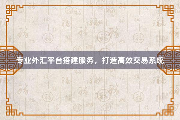 专业外汇平台搭建服务，打造高效交易系统