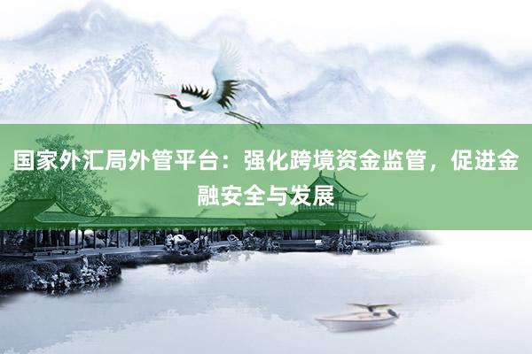 国家外汇局外管平台：强化跨境资金监管，促进金融安全与发展