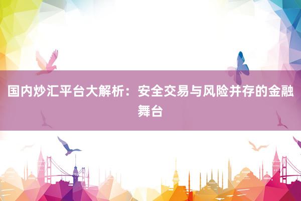 国内炒汇平台大解析：安全交易与风险并存的金融舞台