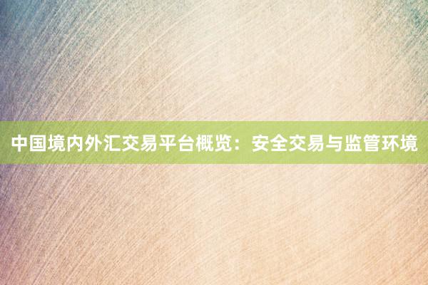 中国境内外汇交易平台概览：安全交易与监管环境
